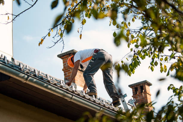 Best Gutter Installation and Roofing  in Forest City, IA