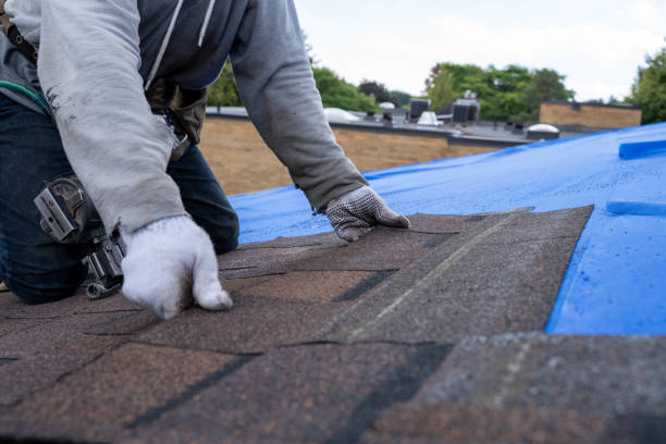 Professional Roofing Contractor in Forest City, IA
