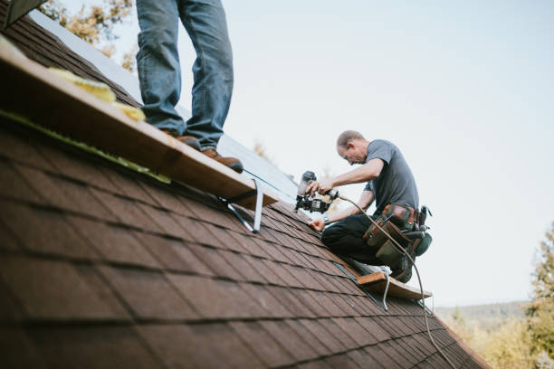 Roof Gutter Cleaning in Forest City, IA
